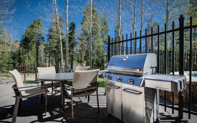 Ski-in Mountain Thunder Lodge 2 Bedroom Condo