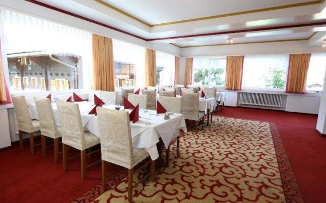 Hotel Alpina