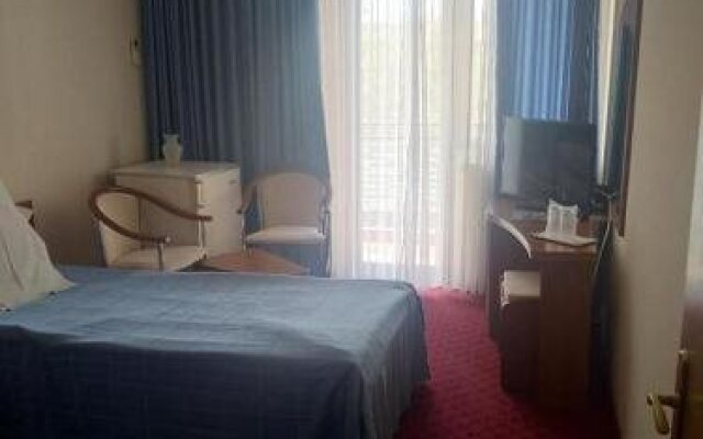 Hotel Doina