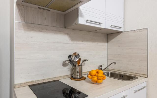 RentalSPb на проезде 5-й Предпортовый