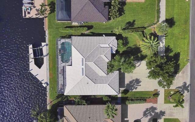 Bald Eagle Home #62266