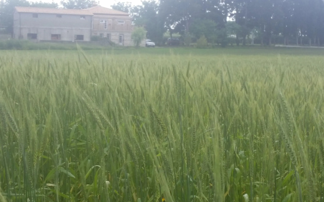 Don Carlo Agriturismo di Charme Bio