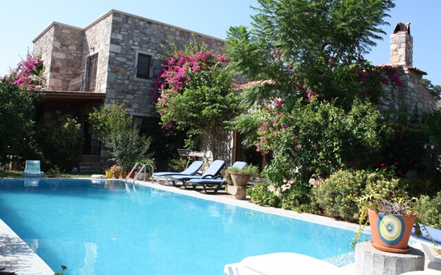 Important Group Villa Citrus