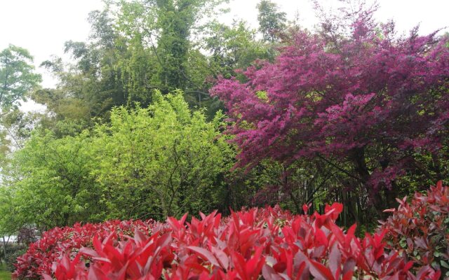 Pingtian Peninsula Hotel