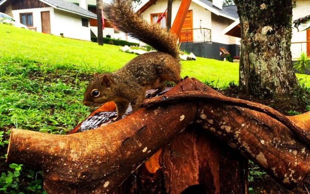 Pousada Villa Monte Verde