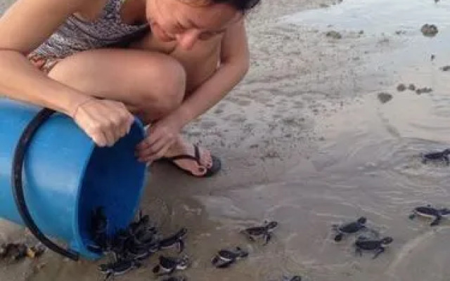 Walai Penyu Resort - Campground