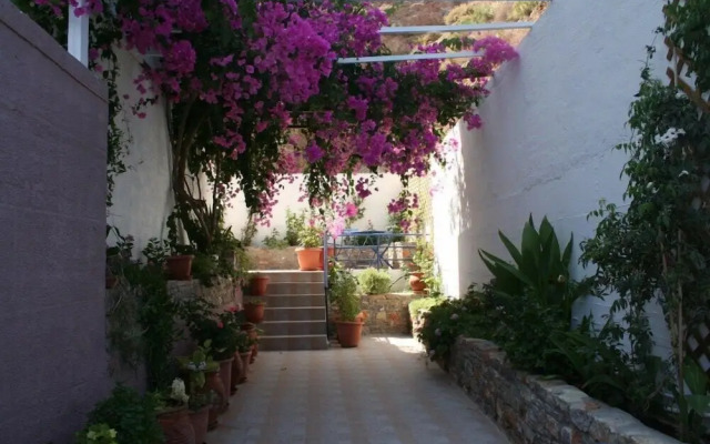 Michalis Studios