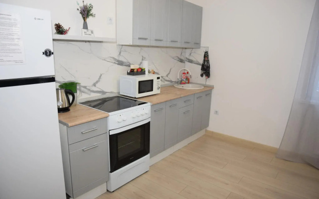 Apartments on Alexander Pushkin street 10