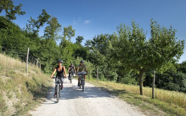 Agriturismo La Contessa Quarter Horse