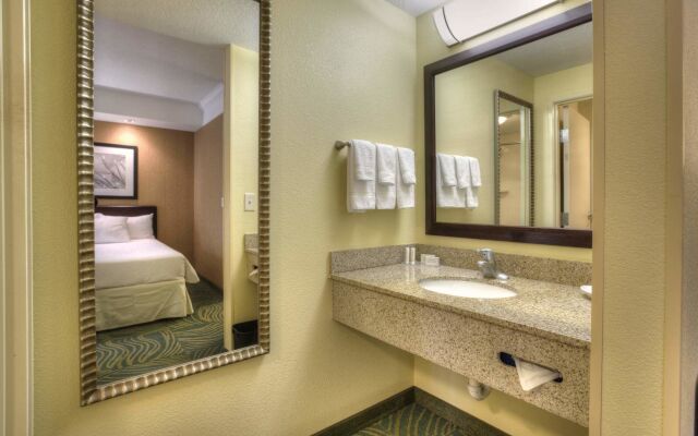 Springhill Suites by Marriott Tampa Brandon