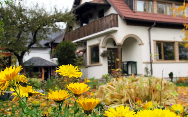 Pensiunea Hilde s Residence