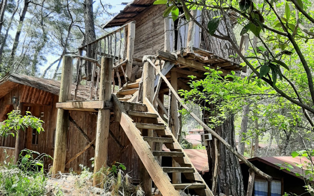 Altaris Bungalows Olympos