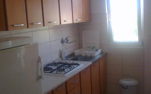 Apartment Goga