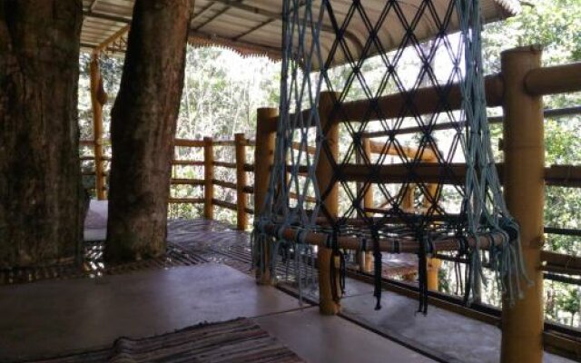 Jungle Jive Tree House Munnar