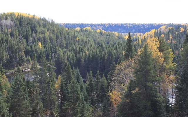 Motel Quatre Saisons