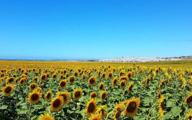 El Arrecife de Conil