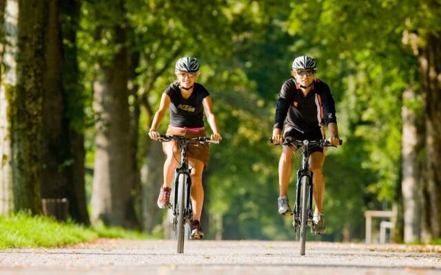 Peaceful Chalet In Thalgau With Mountain View