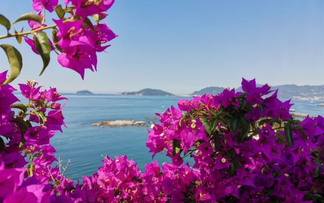 Stella di Mare 011016-LT-0228