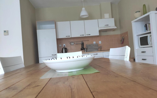 Lipno Riviéra - Myši v botě