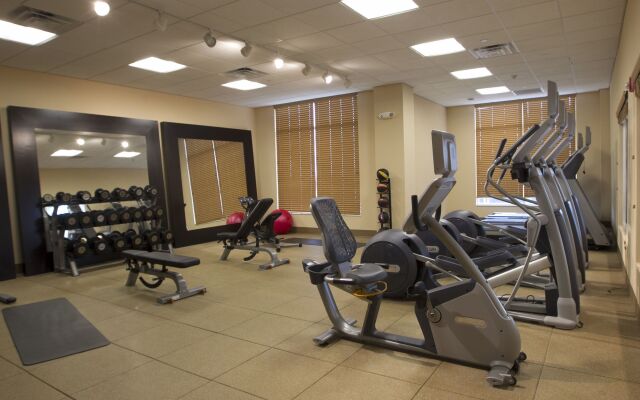 Hilton Garden Inn Cedar Falls