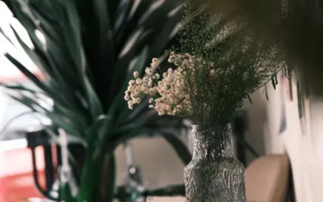 Shuimu Yunxiao Huanxi Courtyard B&B (Dali Ancient Town Branch)