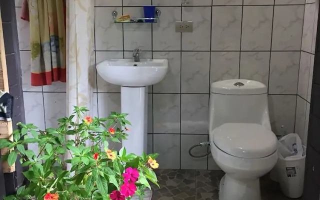 Wood House Hostel