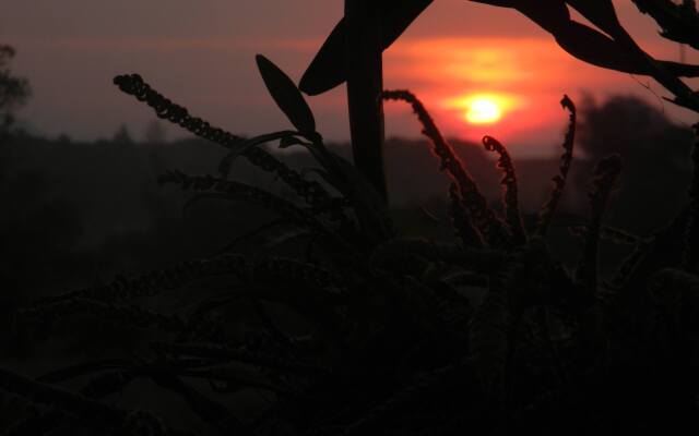 Morada das Bromélias