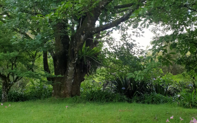 English Gardens - Forest Spa Suite