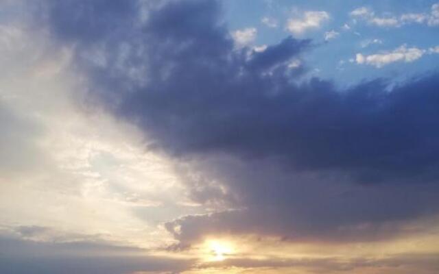 Sunny Beech Side Klaipedas 84