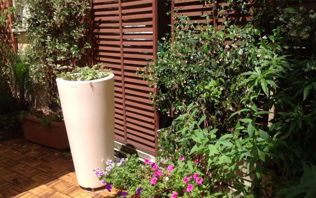 Simonetta Ai Musei Vaticani