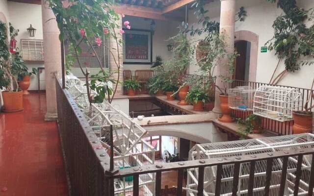 Casa del Pingorongo