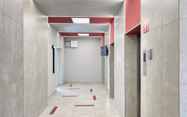 Карельский лось на улице Гражданская 21