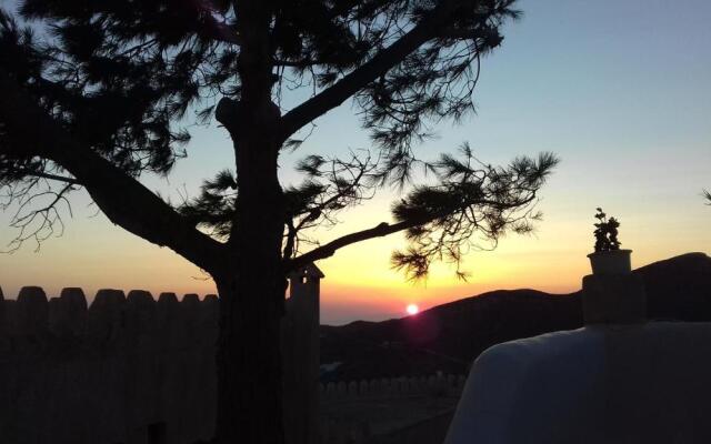 Maria's View 1