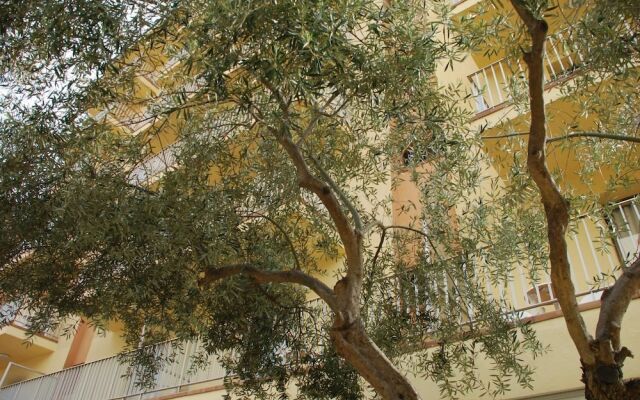 Stella Maris Family rooms Apartments