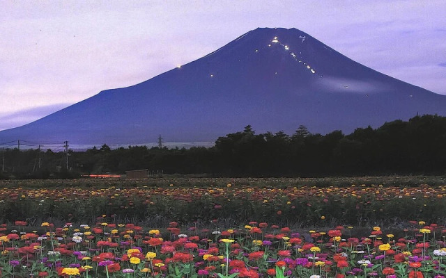 Yamanakako Pension Pause