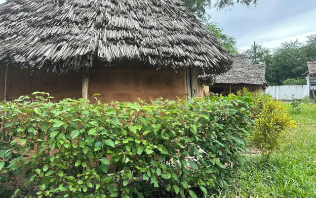 zanzigo