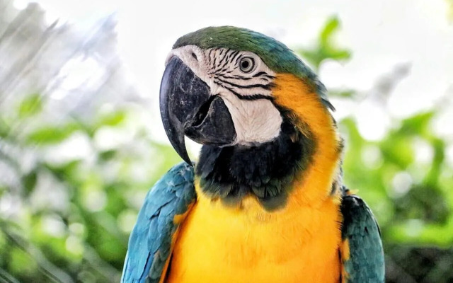 Eco Hotel Villa Martha