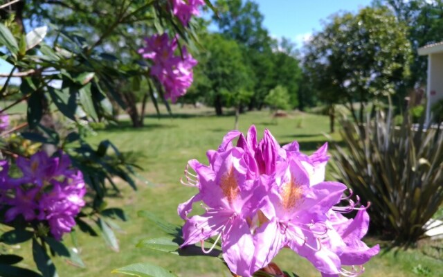 Chambres d'hôtes l'étang de l'aiguille