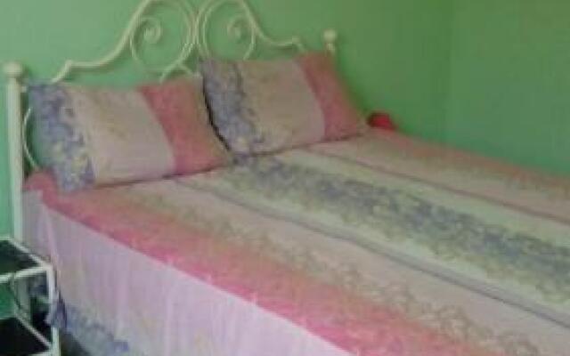 Le Lion Des Flandres