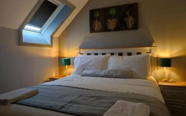 Paddy's Palace Hostel
