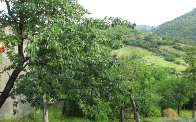 Guesthouse on Sayat Nova 85