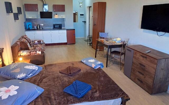 Апартаменты на улице Коминтерна