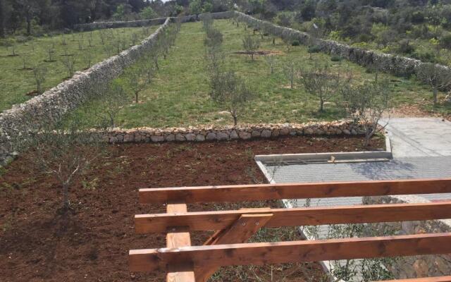 Apartments Olive Garden