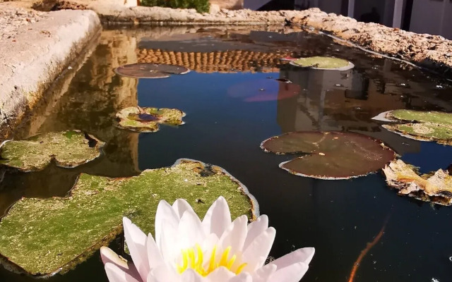 casa vacanze senia del rais