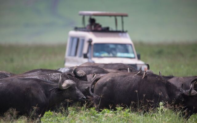 Elewana The Manor Ngorongoro