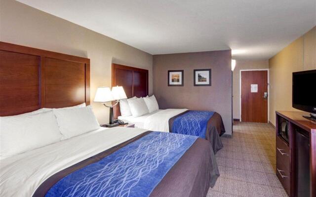 Comfort Inn and Suites Plano East