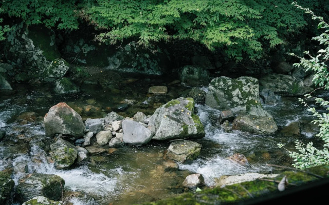 Kamanuma Onsen Daikisen