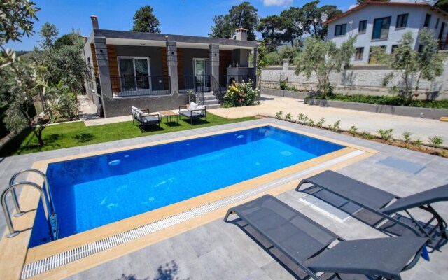 Villa With Private Pool Surrounded by Olive Trees