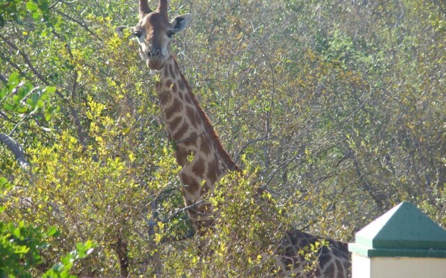 Muweti Bush Lodge