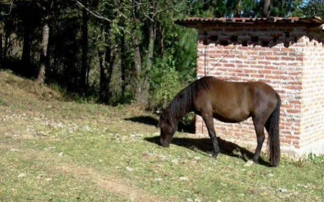 Estancia Maria Marcela